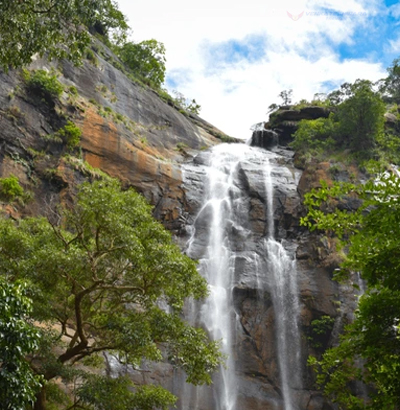 Chennai to Sri Govindaraja Swamy Temple Tour