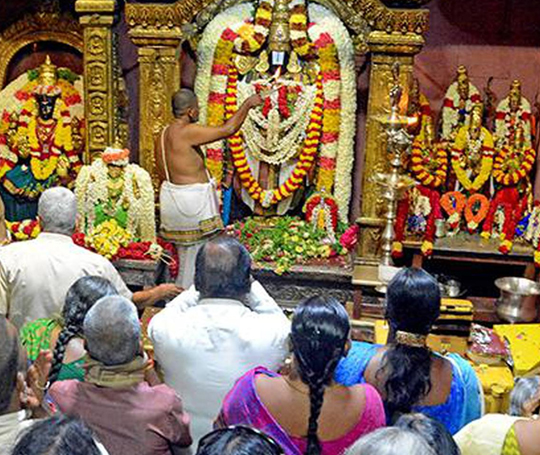 Divine Tirumala Darshan