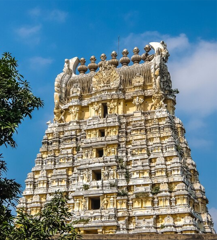 Chennai - Kanchipuram Oustation Tour