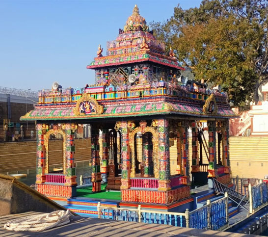 Sri Govindaraja Swamy Temple Festivals