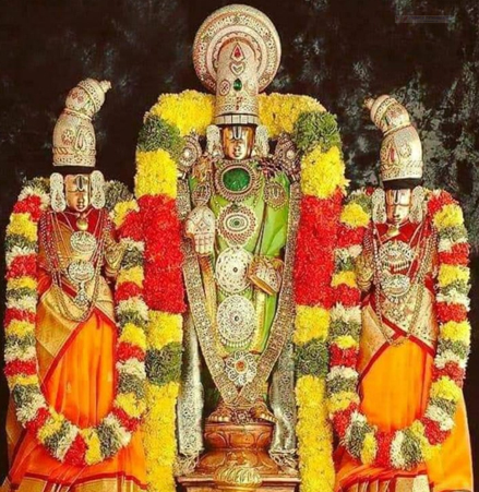 Lord Sri Govindaraja Swamy